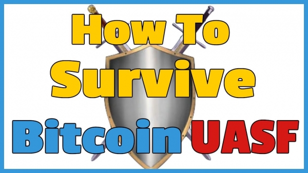How to Survive a Bitcoin Fork!.
