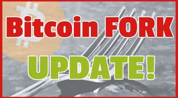 Bitcoin Fork - UPDATE - What the Exchanges are doing!.